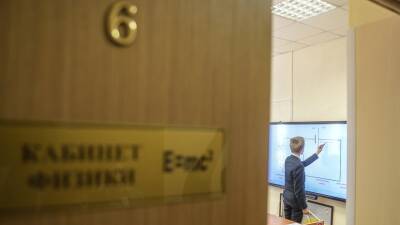 Жители Петербурга рассказали о своём отношении к электронным дневникам
