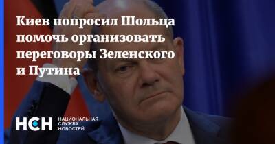 Киев попросил Шольца помочь организовать переговоры Зеленского и Путина