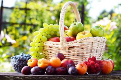 В Твери предотвратили распространение вредных фруктов