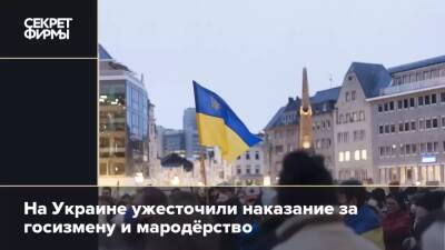 На Украине ужесточили наказание за госизмену и мародёрство