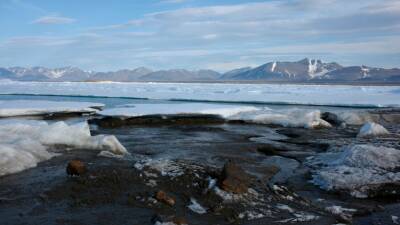 Форум по сотрудничеству в Арктике приостановил участие РФ в своей работе