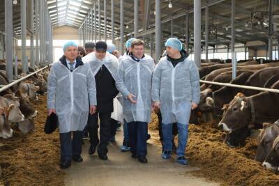 Молочный комплекс на 800 голов скота открылся в Нижегородской области