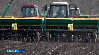 В Воронежской области увеличат площади посевов сахарной свёклы и сои