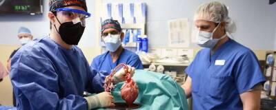 Пациент с пересаженным сердцем свиньи скончался через два месяца после операции