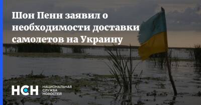 Шон Пенн заявил о необходимости доставки самолетов на Украину