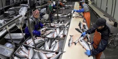 Переработчики рыбы просят ограничить экспорт водных биоресурсов
