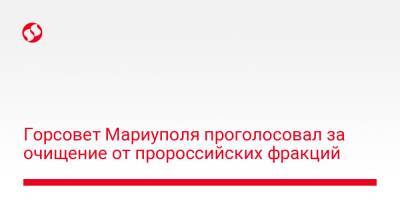 Горсовет Мариуполя проголосовал за очищение от пророссийских фракций