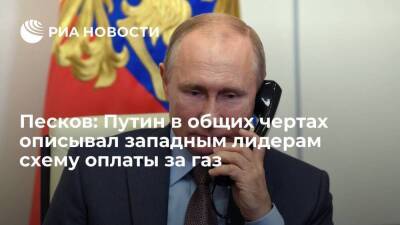 Песков: Путин в общих чертах описывал схему оплаты за газ в беседах с западными лидерами