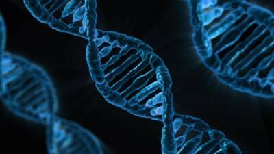 Ученые полностью секвенировали геном человека, в том числе «мусорную ДНК»