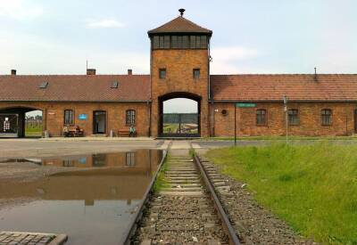 Гражданина ФРГ будут судить в Польше за нелепый спор на экскурсии в Освенциме