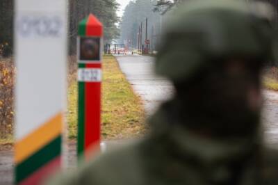 Литовские пограничники задержали гражданина России, которого разыскивала Франция