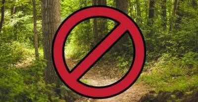 В Одесской области запретили посещать леса и ездить туда | Новости Одессы