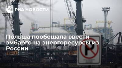 Замглавы МИД Шинковский: Польша запретит поставки газа и угля из России в ближайшие месяцы