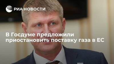 Депутат Госдумы Михаил Шеремет предложил временно прекратить поставлять газ в ЕС