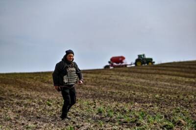 В этом году в Украине планируют засеять 70% посевных площадей