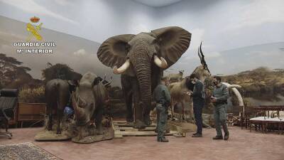 Испания: обнаружен подпольный музей чучел животных