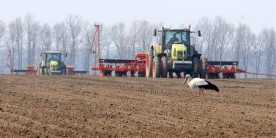В Украине планируют засеять 70% посевных площадей — Минагро