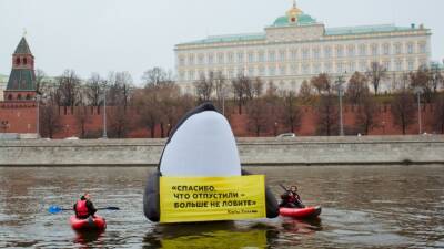 Экологи из РФ просят признать Greenpeace и WWF "иноагентами"