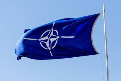 Финляндия и Швеция собираются присоединиться к НАТО уже летом