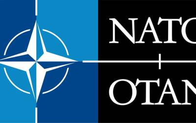 Летом этого года в НАТО могут вступить Финляндия и Швеция - СМИ