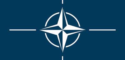 Фінляндія та Швеція стануть членами НАТО вже цього літа — The Times