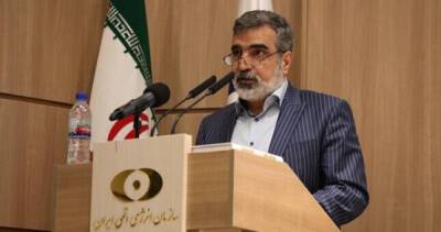 Бехруз Камальванди - Строительство атомных электростанций является необходимостью в Иране - dialog.tj - Англия - Иран