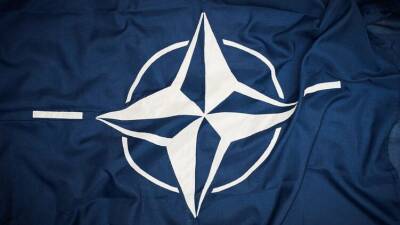 Финляндия и Швеция могут стать членами НАТО уже этим летом