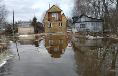 В Конаковском районе из-за бобров затопило дачный поселок