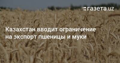 Казахстан вводит ограничение на экспорт пшеницы и муки