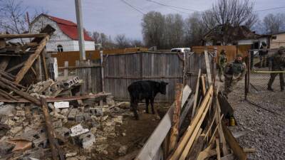 Украинские фермы и война