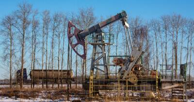 "Антироссийские санкции": в ОПЕК предрекли кризис с поставками нефти