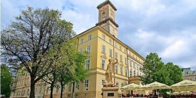 Мэрия ищет кандидатов: во Львове пятый месяц не могут назначить руководителя городского управления образования