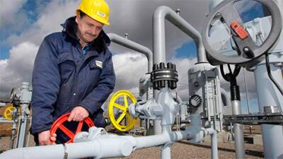 В случае прекращения поставок из РФ запасов газа в Германии хватит до конца лета