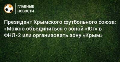 Президент Крымского футбольного союза: «Можно объединиться с зоной «Юг» в ФНЛ-2 или организовать зону «Крым»