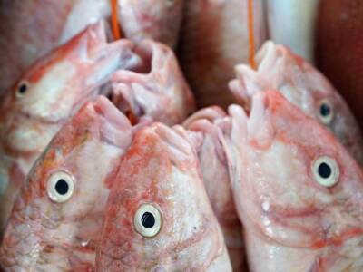 «Интерфакс»: Российские производители рыбных консервов опасаются остановки предприятий