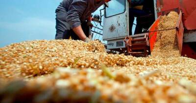 С 15 апреля Казахстан ограничит экспорт зерна и муки на два месяца