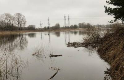 Вода в Тверской области прибывает, подтоплены десятки участков