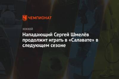 Нападающий Сергей Шмелёв продолжит играть в «Салавате» в следующем сезоне