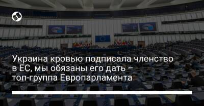 Украина кровью подписала членство в ЕС, мы обязаны его дать – топ-группа Европарламента