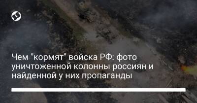 Чем "кормят" войска РФ: фото уничтоженной колонны россиян и найденной у них пропаганды