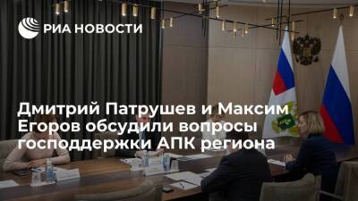 Дмитрий Патрушев и Максим Егоров обсудили вопросы господдержки АПК региона