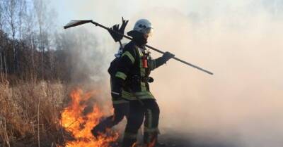 В Латвии в этом году потушено уже 772 пожара прошлогодней травы
