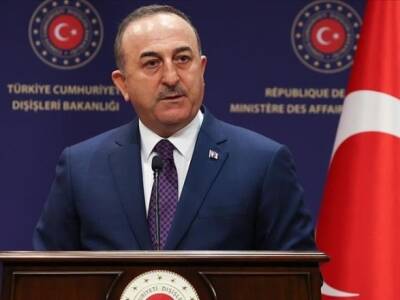Турция будет следовать санкциям в отношении рф, если их одобрит ООН