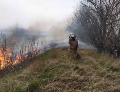 "Минимальных штрафов больше не будет": на Одесчине наказали поджигателя травы, фото