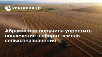 Вице-премьер Абрамченко поручила упростить вовлечение в оборот земель сельхозназначения