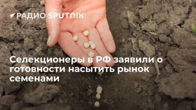 СМИ: российские аграрии продолжают закупать импортный посевной материал, несмотря на достижения отечественных селекционеров