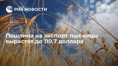Пошлина на экспорт пшеницы из России с 20 апреля вырастет до 110,7 доллара за тонну