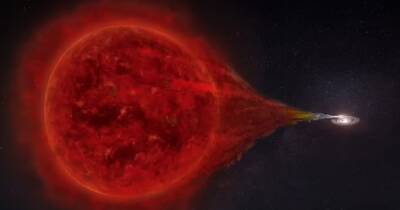 Найдена звездная система, где каждые 15 лет взрывается одна и та же "новая" звезда