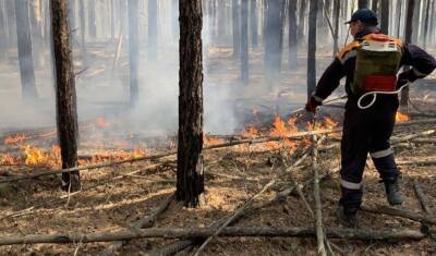 В пяти районах Тюменской области горят леса