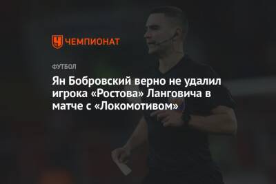 Ян Бобровский верно не удалил игрока «Ростова» Ланговича в матче с «Локомотивом»